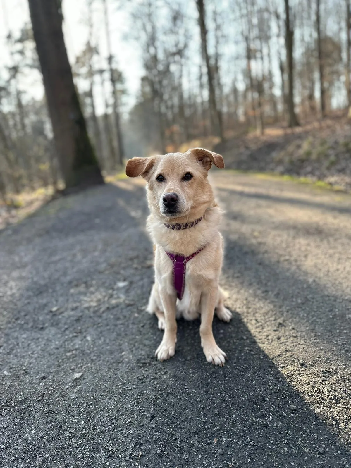 Sammy