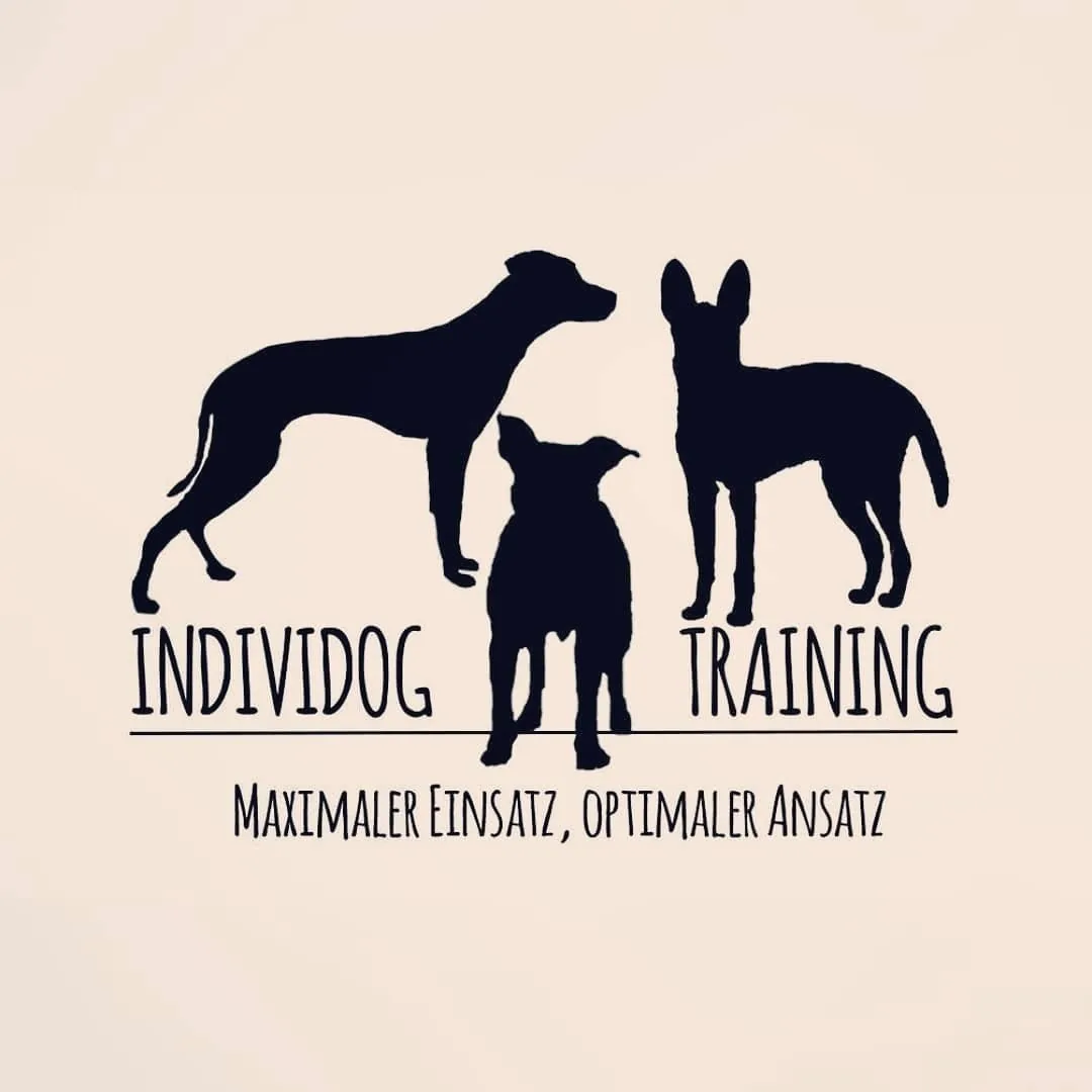 Individdog Training